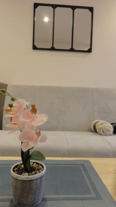 Le Belvedere Dernier Etage Avec Terrasse Wifi Fibre Apartment Tarbes Ngoại thất bức ảnh